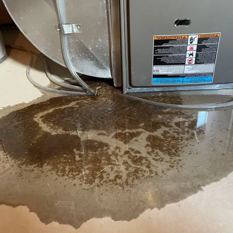 Pipe Burst and Leak Restoration in Logan County, ND