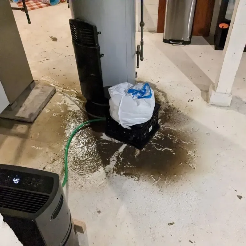 Sewage Backup Cleanup Service in Logan County, ND